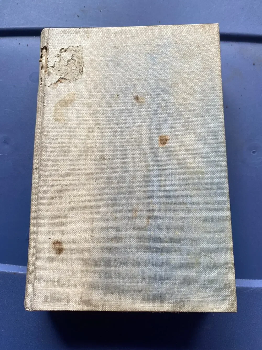 Told By An Idiot Boni & Liverights Rose Macaulay Vintage Book 1923